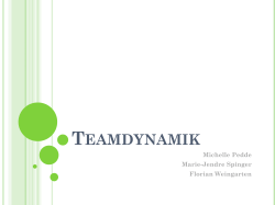 Teamdynamik (Pedde/Spinger/Weingarten)