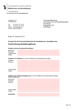 Konzeptformular fmagk - Fachmaturitätsschule Basel