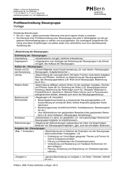 Profilbeschreibung Steuergruppe Vorlage