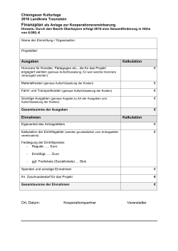 Finanzplan PDF - Chiemgauer Kulturtage