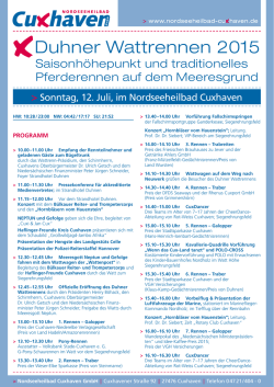 Duhner Wattrennen 2015