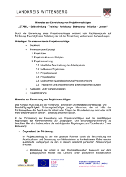 Hinweise zur Einreichung von Projektvorschl&auml;gen STABIL