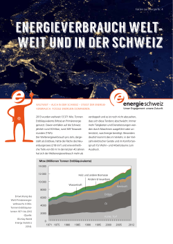 Energieverbrauch weltweit und in der Schweiz