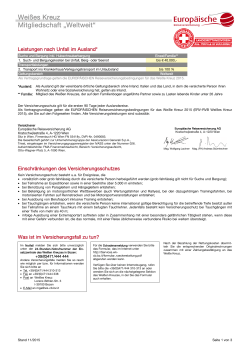 Infoblatt Mitgliedschaft Weltweit