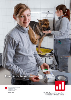 Eine Lehre beim Heer
