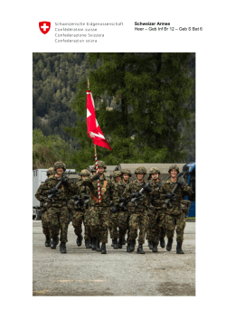 Schweizer Armee Heer – Geb Inf Br 12 – Geb S Bat 6