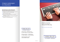 Elektronische Steuer-erklärung