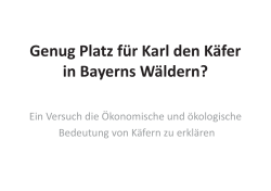 Genug Platz für Karl den Käfer in Bayerns Wäldern?