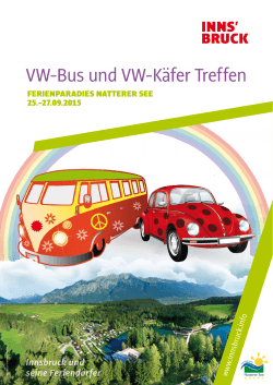 VW-Bus und VW-Käfer Treffen