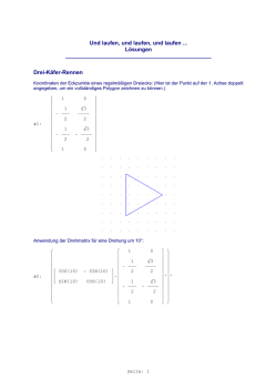 Drei-Käfer-Rennen - Mathe