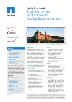 Stadt Sigmaringen setzt auf flexible NetApp