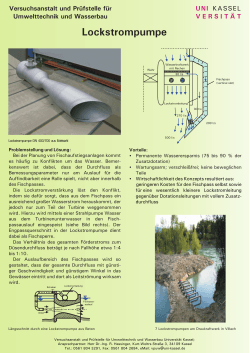 PDF: Kurzinformation über die Lockstrompumpe
