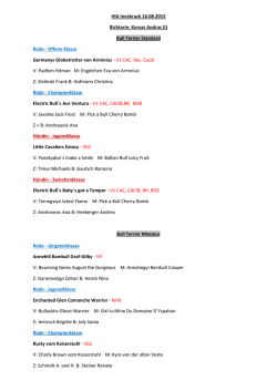 IHA Innsbruck 16.08.2015 Richterin: Korozs Andras - Bullterrier-Club
