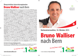 05_Walliser_Flyer_A5_DRUCK-1 - Bruno Walliser