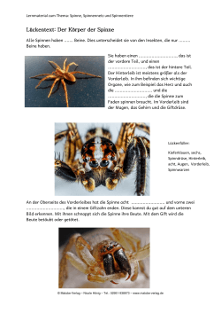 Ilka Muckle: Spinne, Spinnennetz und Spinnentiere - Matobe