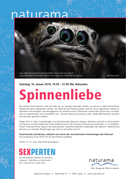 Spinnenliebe
