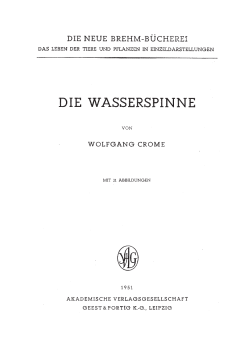 die wasserspinne