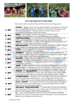 Jahresbericht2015