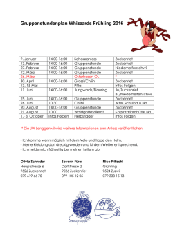 Gruppenstundenplan Whizzards Fr&uuml;hling 2016