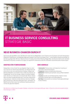 IT buSINESS SERvICE CONSuLTINg STRATEGIE bASIC
