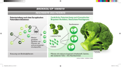 reichweite des patents brokkoli ep 1069819