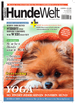 HundeWelt Kr&auml;uterhelden