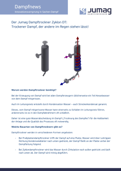 Technische Daten - Jumag Dampferzeuger