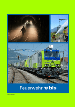 Feuerwehr Frutigen