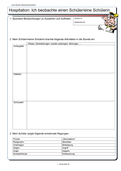 Hospitation: Ich beobachte einen Schüler/eine Schülerin