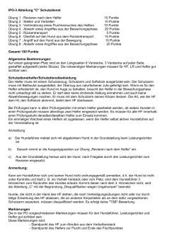 IPO-3 Abteilung "C" Schutzdienst &Uuml;bung 1 : Revieren nach dem