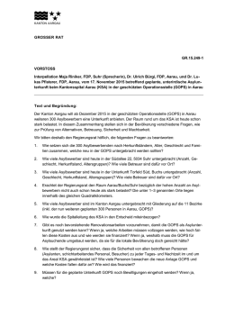 GROSSER RAT GR.15.249-1 VORSTOSS Interpellation Maja