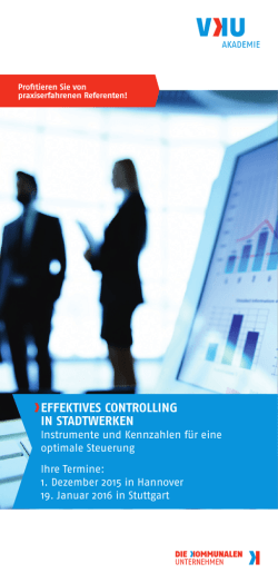 effektives controlling in stadtwerken