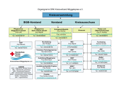 Organigramm DRK Kreisverband Müggelspree e.V.