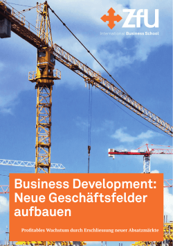 Business Development: Neue Geschäftsfelder aufbauen