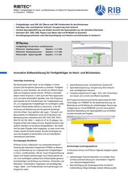 RTfermo - RIB Software