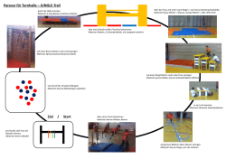 Jungle-Trail_Turnhalle