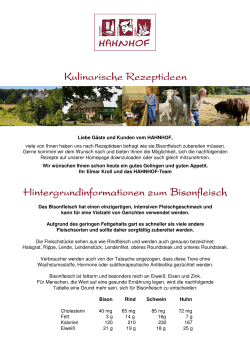 Bison Rezepte Hahnhof 2015