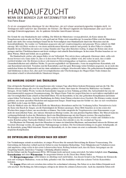 handaufzucht - Auf Katzenart