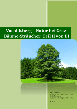 10 Vasoldsberg-Natur bei Graz, Baum