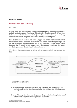 CD 1 | Führungsmodell von Hans von Sassen, Trigon