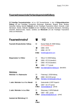 Internetdarstellung Feuerwehrwesen in der VG Kelberg 27.01.2016