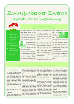 Infoblatt - Zwingenberger Zwerge
