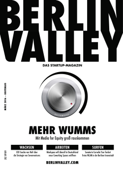 mehr wumms - Berlin Valley