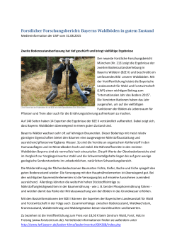 Forstlicher Forschungsbericht: Bayerns Waldböden in gutem Zustand