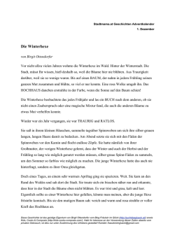 Die Winterhexe_Birgit Ottendorfer