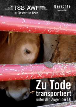 Das Heft zum Thema - Tierschutzbund Zürich