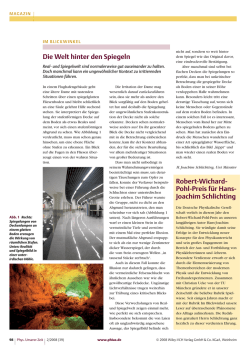 Die Welt hinter den Spiegeln