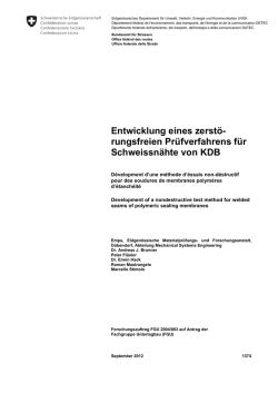 rungsfreien Pr&uuml;fverfahrens f&uuml;r Schweissn&auml;hte von KDB