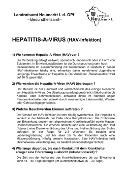 HEPATITIS-A-VIRUS (HAV-Infektion)