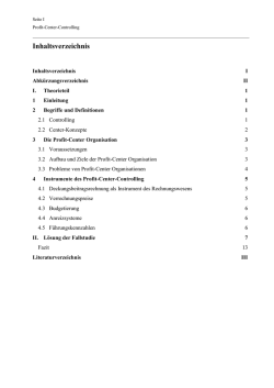 Hausarbeit: Profit-Center